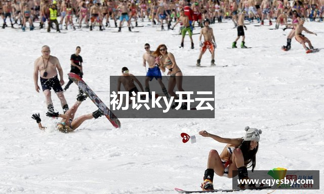 初识ky开云